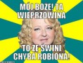 /album/fotogaleria/a5463709-najlepsze-memy-tygodnia-zrodlo-jpg/